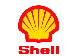 shell-300x225